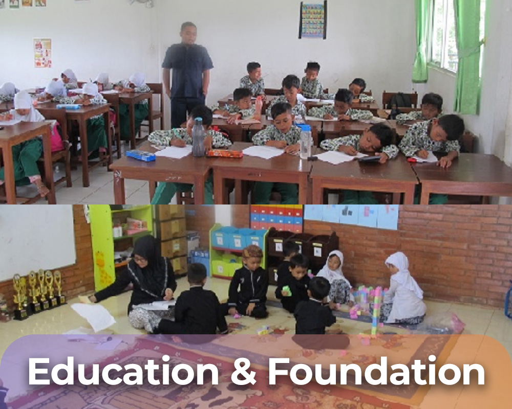 Education and Foundation